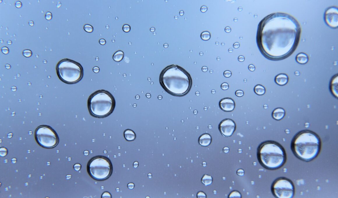 Water Drops